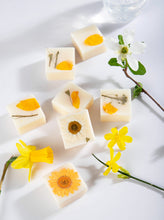 Load image into Gallery viewer, Botanical wax melts in a box
