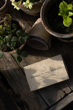 Load image into Gallery viewer, A box of 6 Long lasting Soy Tea lights; Choose your scent