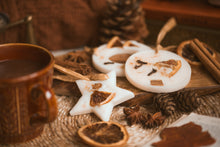 Load image into Gallery viewer, Scented Botanical wax decorations