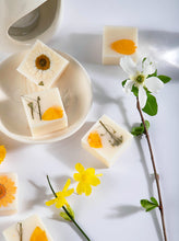 Load image into Gallery viewer, Monthly Melt Club