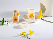 Load image into Gallery viewer, A Mixed cotton bag of 10 pick + Mix Botanical Soy Melts