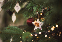 Load image into Gallery viewer, Scented Botanical wax decorations