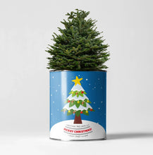 Load image into Gallery viewer, Grow your own Christmas Tree