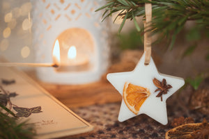 Scented Botanical wax star in a gift bag