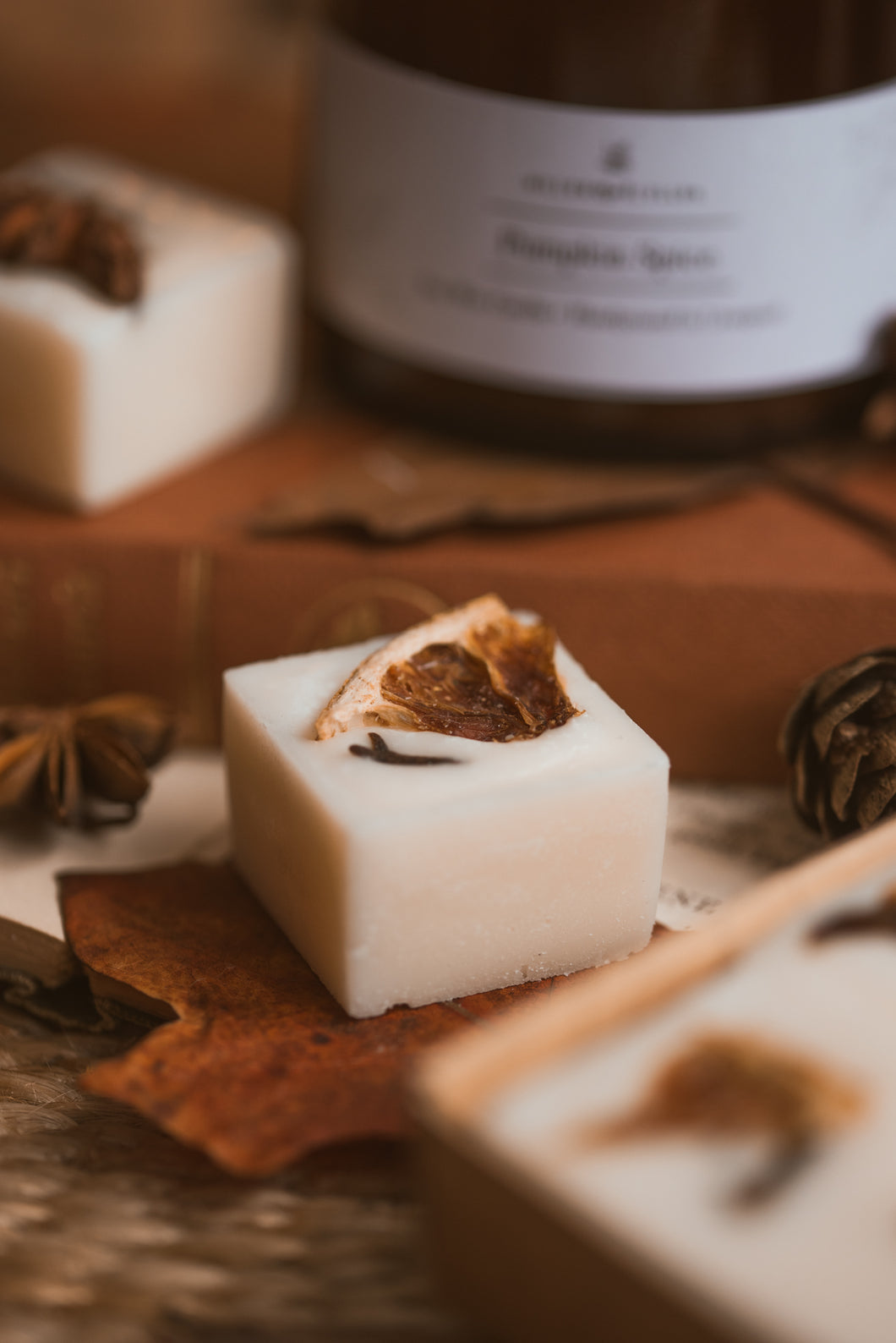 Cedar Wood & Orange Botanical wax melts