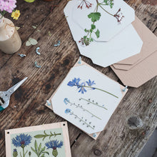 Load image into Gallery viewer, Cornflower Flower Press