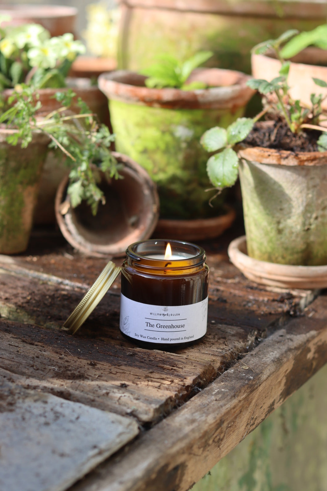Pre Order The Greenhouse candle
