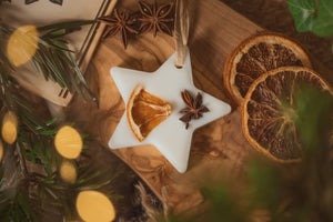 Scented Botanical wax star in a gift bag
