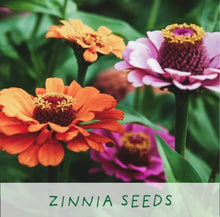 Load image into Gallery viewer, Grow your own Fridas Flowers