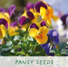 Load image into Gallery viewer, Grow your own Fridas Flowers